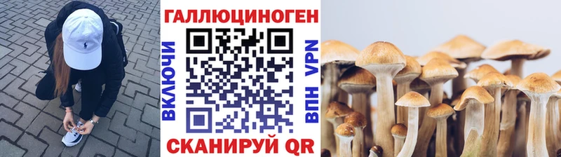 Псилоцибиновые грибы Cubensis  закладка  гидра ТОР  Кувшиново 